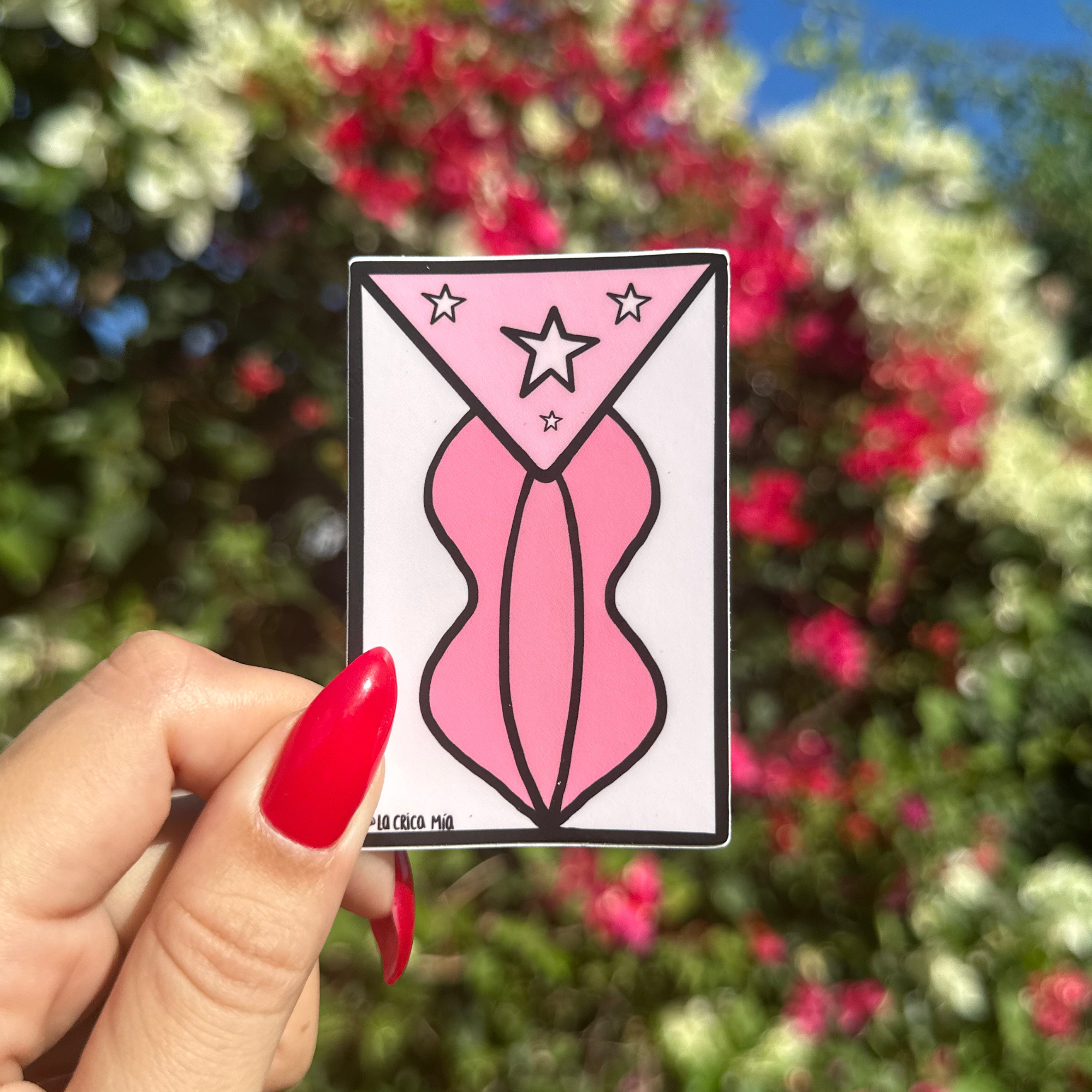 Sticker "Bandera Crica"