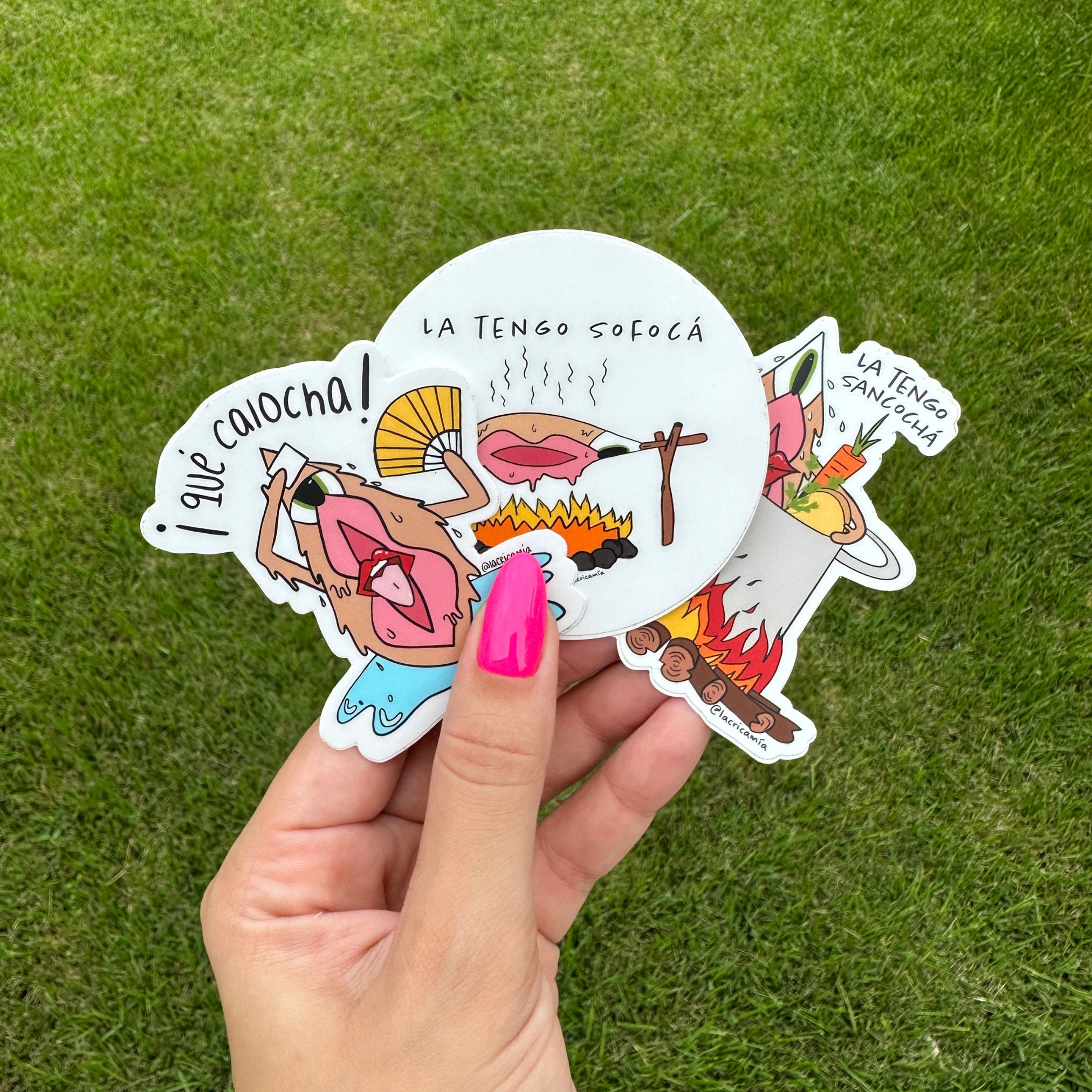 Calocha Pack – Set de 3 Stickers