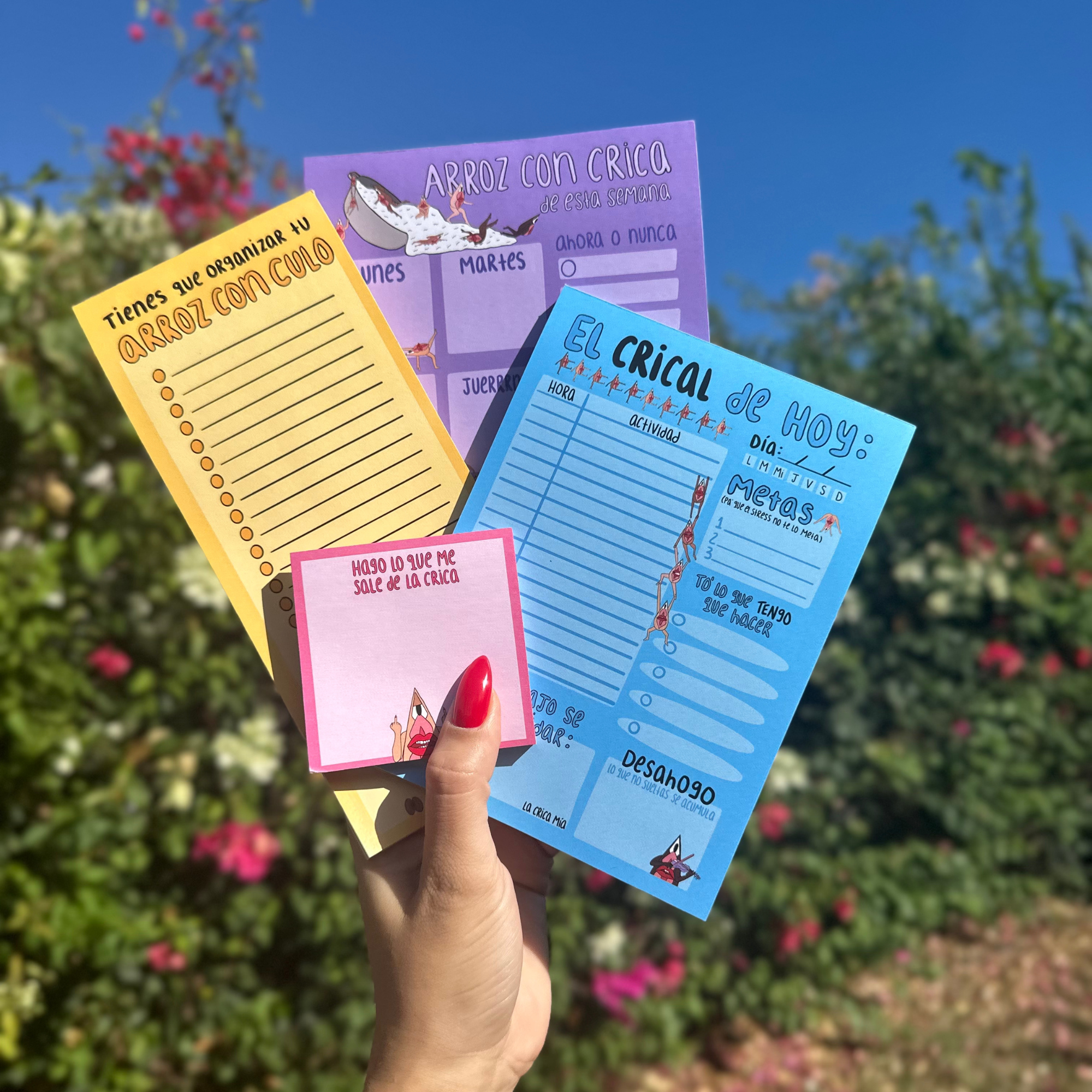 Organiza el Crical Pack – Set de 4 Organizadores con Imán