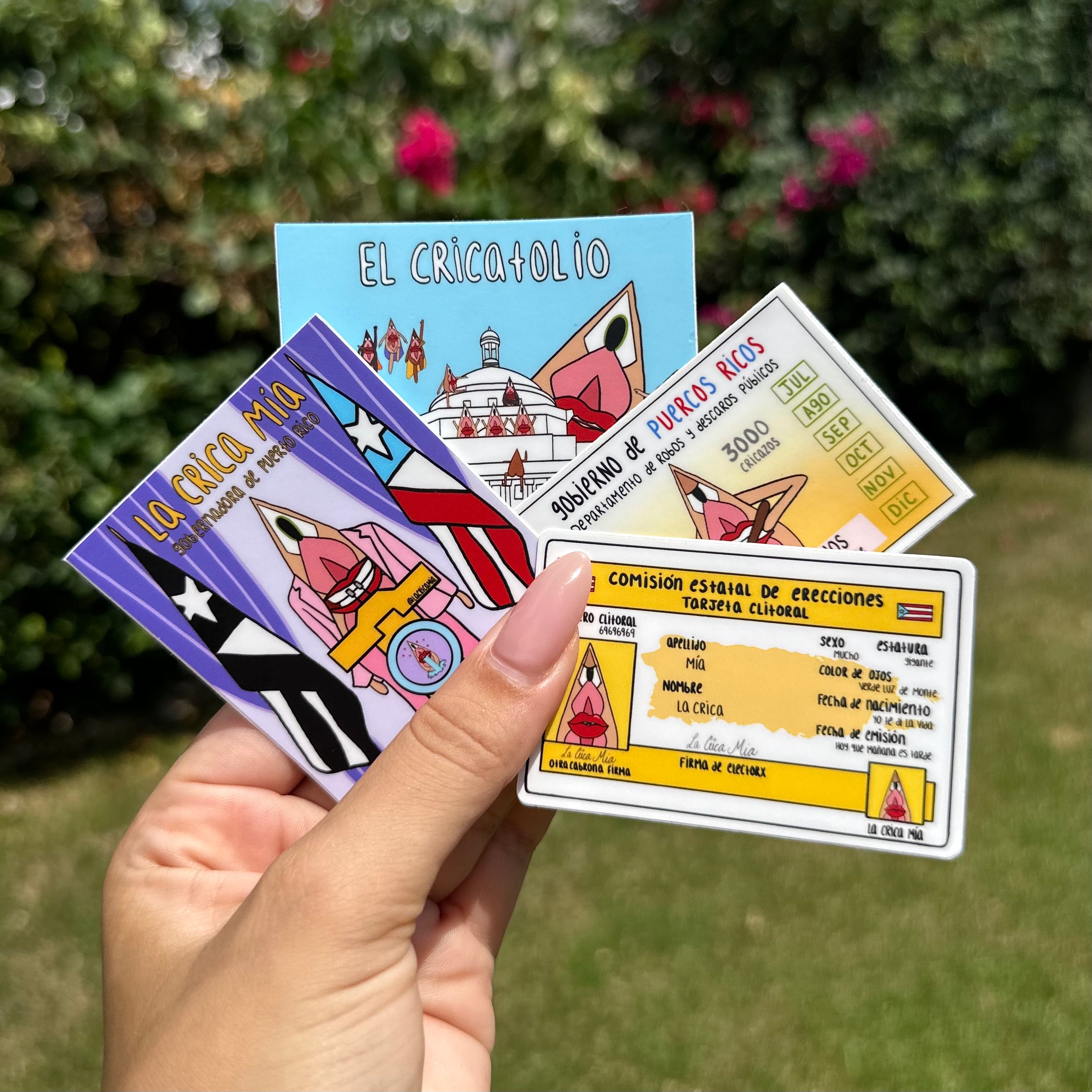 Erecciones 2024 – Pack de 4 Stickers