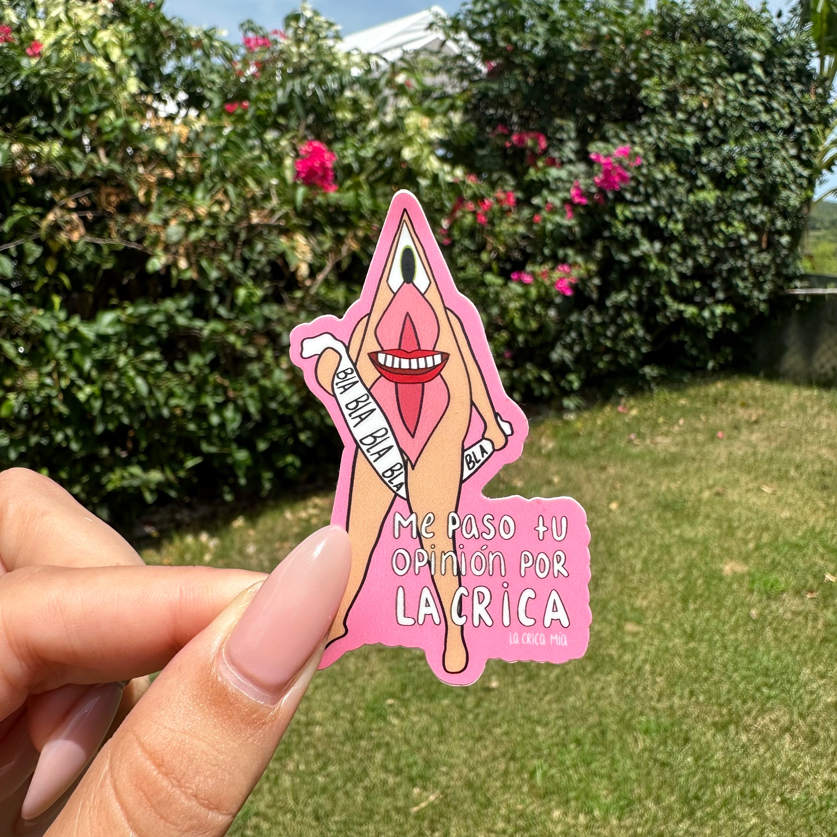 Sticker "Tu opinión x mi crica"