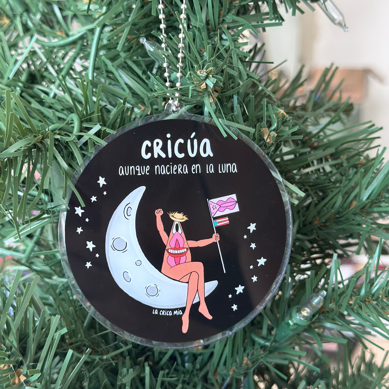 Adorno "Cricúa en la Luna" - acrílico