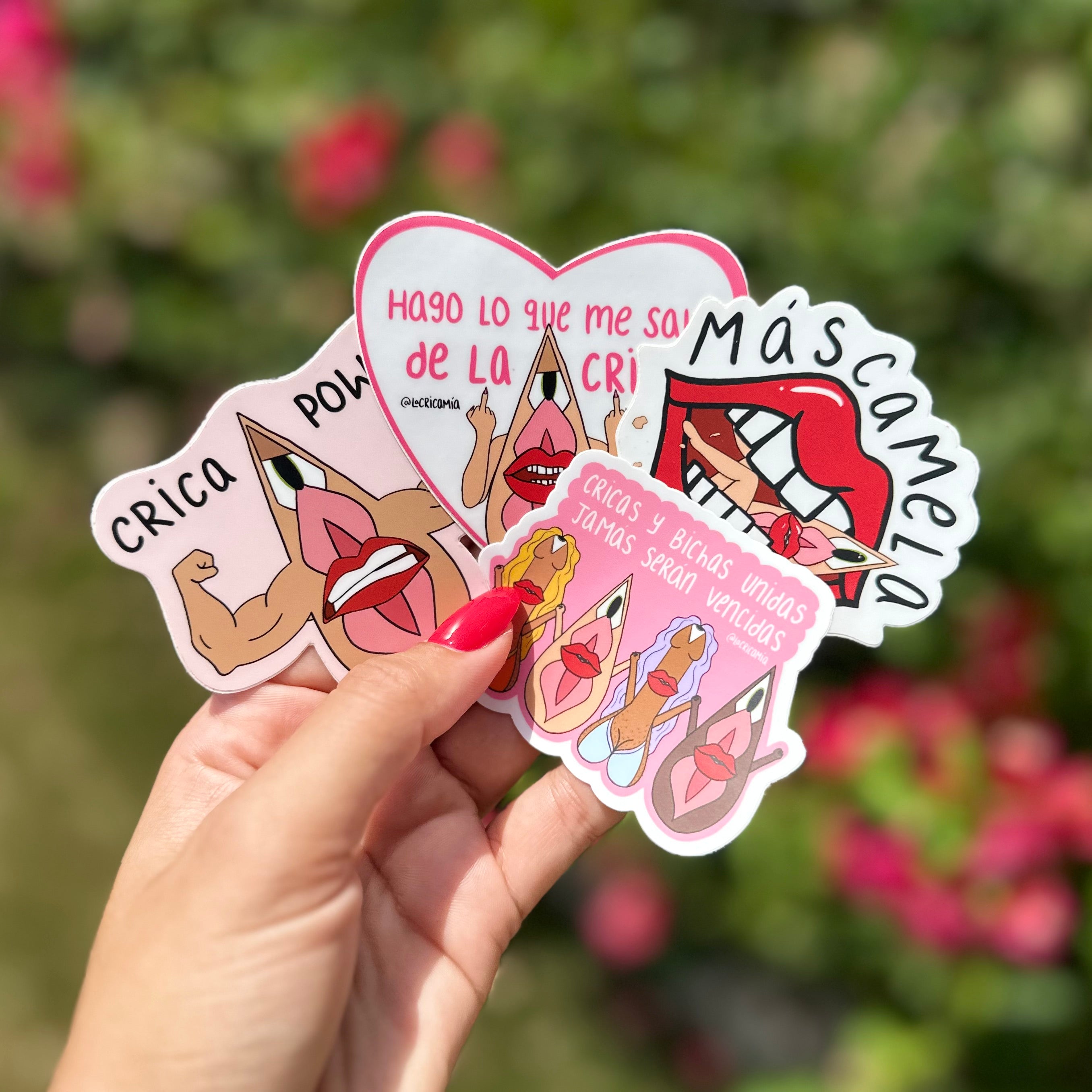 Empoderada Pack (4 - Stickers) – La Crica Mía
